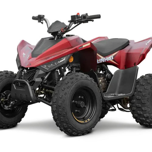 Linhai ATV 110 4x2 EFI CE - Slika 3