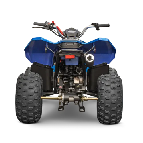 Linhai ATV 110 4x2 EFI CE - Slika 11