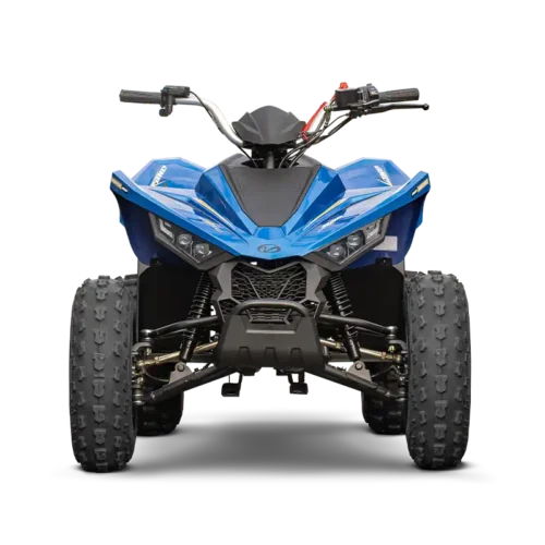 Linhai ATV 110 4x2 EFI CE - Slika 5
