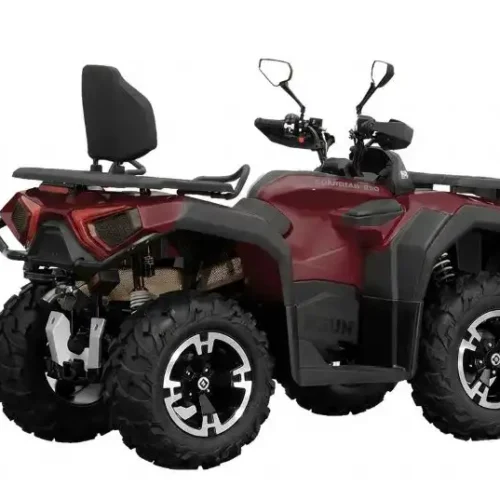 Hisun Guardian 750L Premium - Slika 5